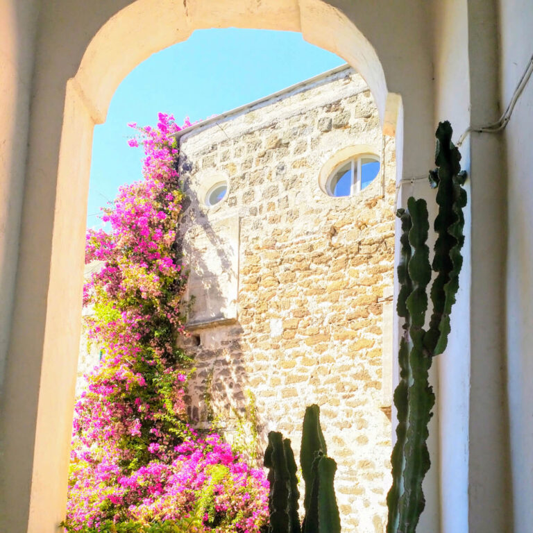 exclusive home ischia