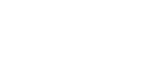 logo exclusive home ischia
